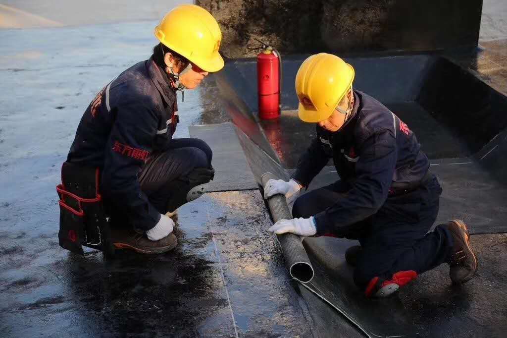 成都东方雨虹 | 东方雨虹上榜2023“北京民营企业百强”